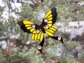 butterfly-suncatcher-3.jpg
