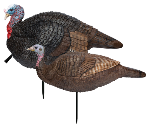 Primos 69075 Lil' Gobblestopper Jake & Hen Combo Turkey Species Multi Color                                                                                                                             