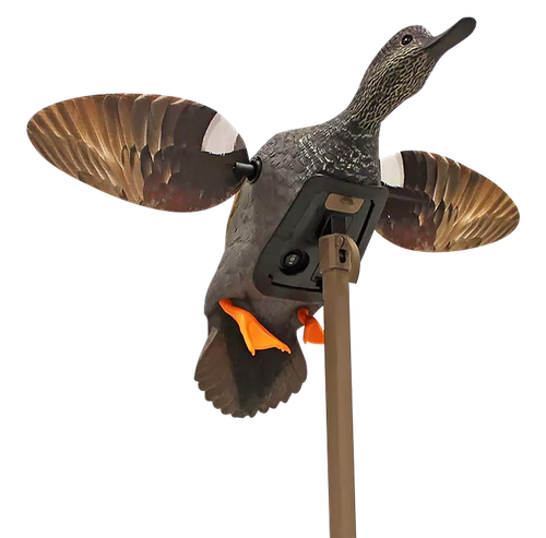 Mojo Outdoors HW24733P Elite Series Gadwall                                                                                                                                                             