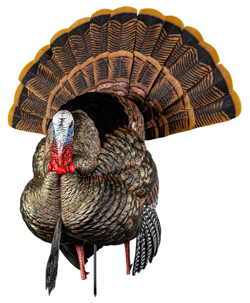 Avian X AVXAVX8108 HDR Strutter Turkey Species Multi Color                                                                                                                                              