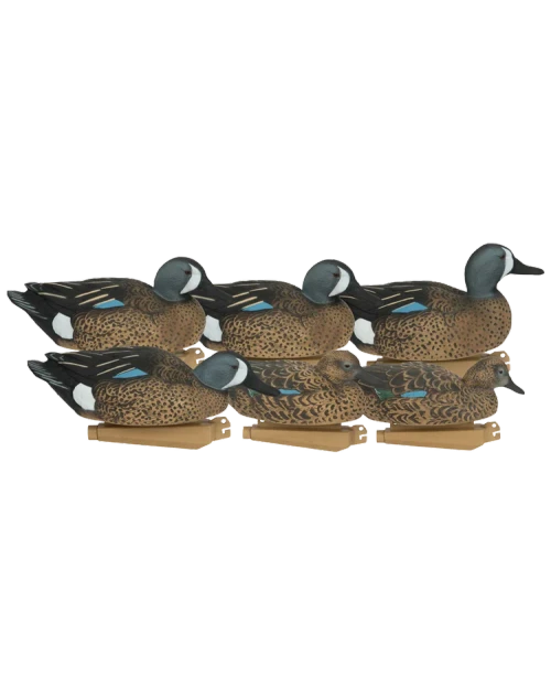 PRO GRADE BLUE WINGED TEAL 6pk