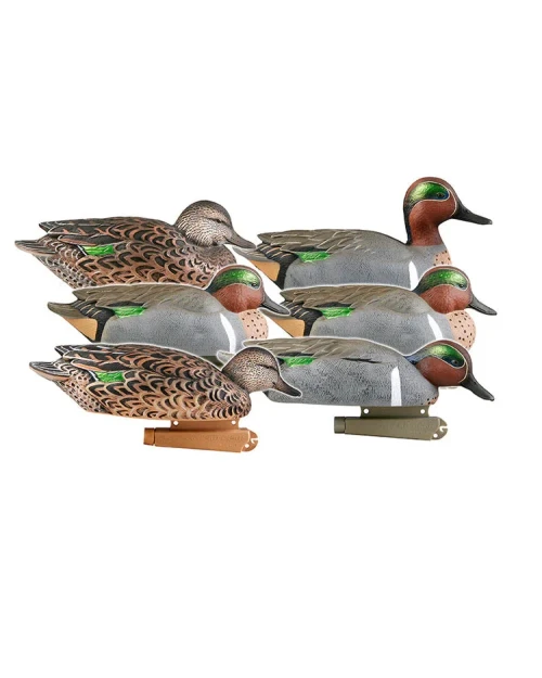 PRO GRADE GREEN WINGED TEAL