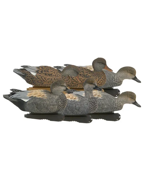 PRO GRADE GADWALL