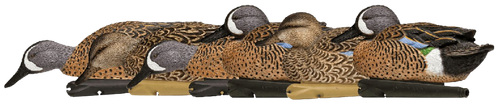 Avian X AVXAVX8080 Topflight  Blue-Winged Floating Teal Decoys Multi-Colored-6 Pack                                                                                                                     