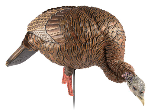 Avian X AVXAVX8107 HDR Feeder Hen Turkey Species Multi-Color                                                                                                                                            