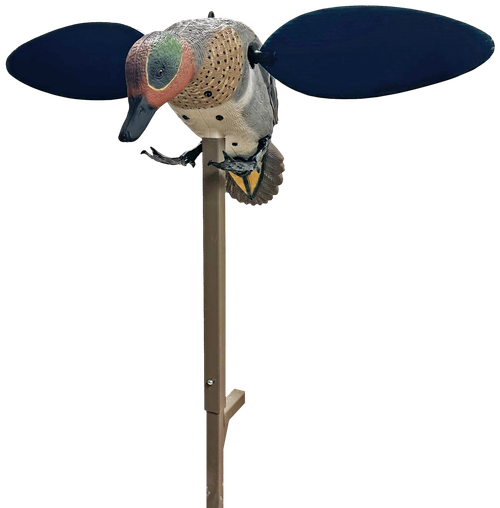 Mojo Outdoors HW2555  Green Winged Teal Teal Species                                                                                                                                                    
