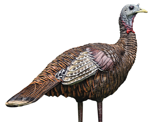 Avian X AVXAVX8006 LCD Lookout Hen Turkey Species Multi Color Dura-Rubber                                                                                                                               