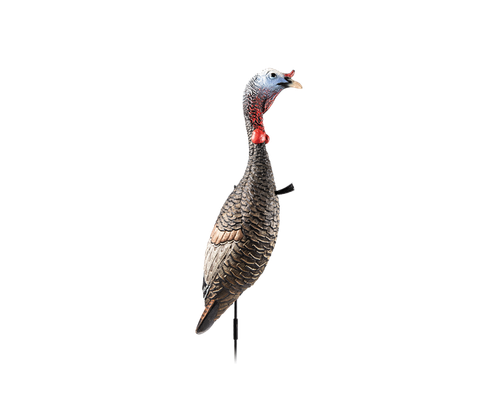 FLEXTONE FLX-FLXDY330 FUNKY CHICKEN GEN. 2