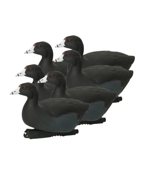 Hunter Series Over Size Coot Decoys 6PK