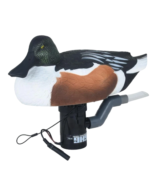 FINISHER SWIMMER SHOVELER DRAKE