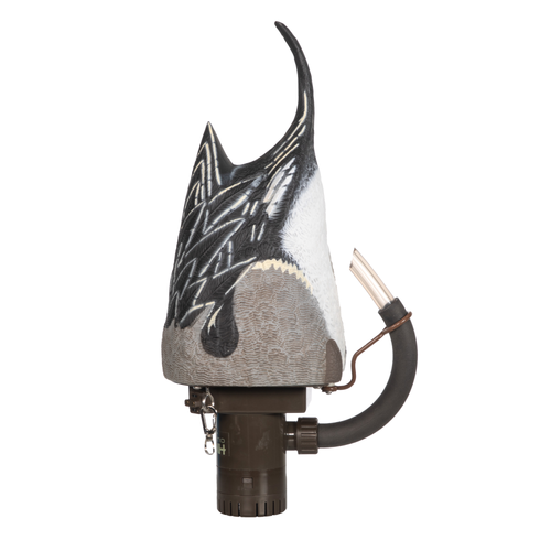 Higdon Motion Pulsator PRO Pintail Higdon Motion Pulsator PRO Pintail