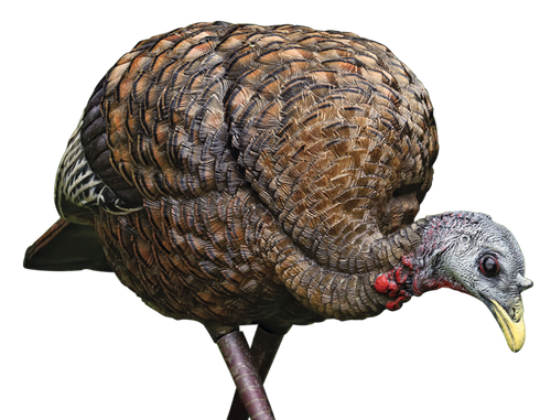 Avian X LCD Feeder Hen Turkey Species Multi Color Dura-Rubber                                                                                                                                
