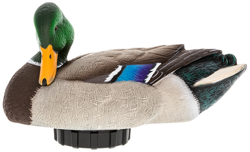 Avian X Power Shaker Mallard Drake Preener Duck Decoy Avian X Power Shaker Mallard Drake Preener Duck Decoy