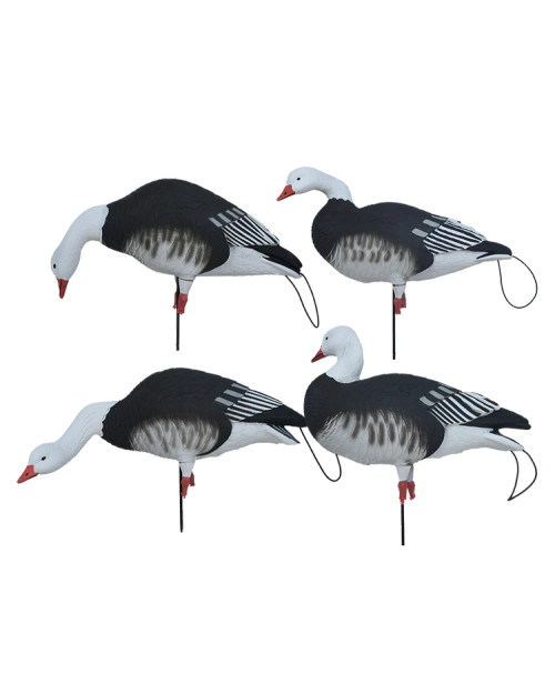 PRO-FLEX FULL BODY-BLUE HARVESTER PACK 12PK