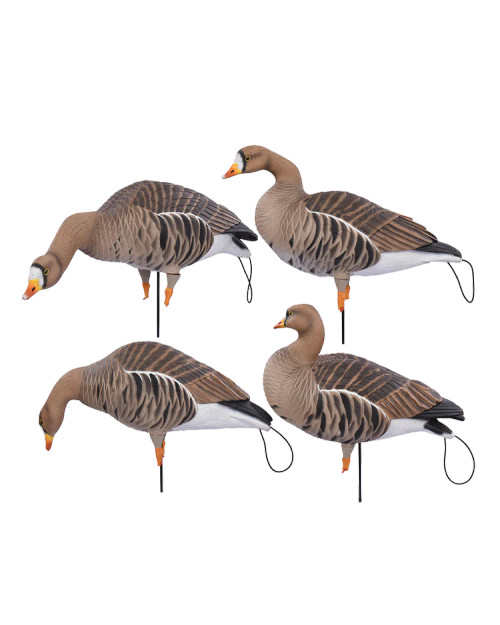 PRO-FLEX FULL BODY-SPECK HARVE