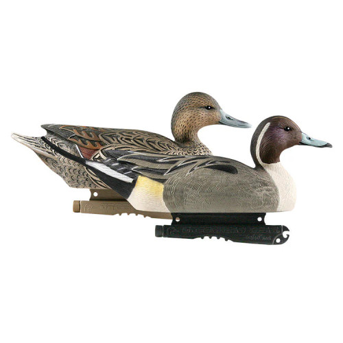 LIZE SIZE PINTAIL 6PK