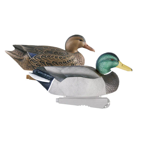OVERSIZED MALLARD 6PK