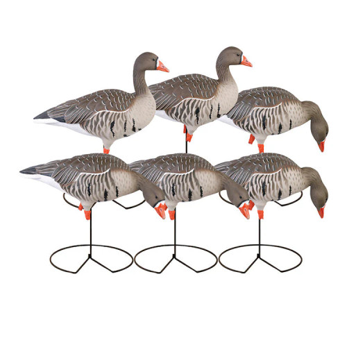 PRO-GRADE FULL BODY SPECKLBELLY DECOYS 6PK