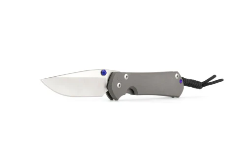Chris Reeve SMALL SEBENZA 31 S45VN 2.99"