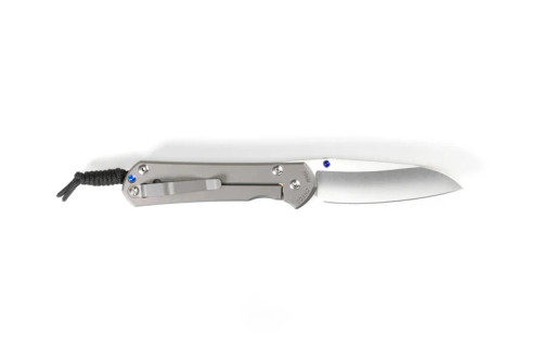Chris Reeve SMALL SEBENZA 31 INSINGO S45VN 2.99"
