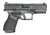 Springfield Armory ECA9409BLC Echelon Alpha 40.C 9mm Luger 10+1 4" Black Melonite Barrel & Optic Ready/Serrated Slide, Black Polymer Frame w/Picatinny Rail Adaptive Texture Grip                       