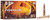 Federal F3030FS2 Fusion  30-30Win 170gr Bonded Soft Point 20 Per Box/10 Case                                                                                                                            