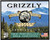 Grizzly Ammo GC357S3   357Sig 125gr Full Metal Jacket Flat Point 20 Per Box/10 Case                                                                                                                     