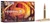 Federal F3006FS2 Fusion  30-06Springfield 165gr Bonded Soft Point 20 Per Box/10 Case                                                                                                                    