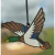 MALLARD DUCK BLACK FROST
