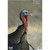 Birchwood Casey Pregame Targets Turkey Paper Targets 12"x18" 8/ct