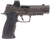 SIG P320 AXG LEGION OR 9MM 3.9" 10+1 GRAY