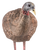 Avian X LCD Breeder Hen Turkey Species Multi Color Dura-Rubber                                                                                                                               