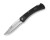 Buck 110 Folding Hunter LT Black 420HC 3.75"