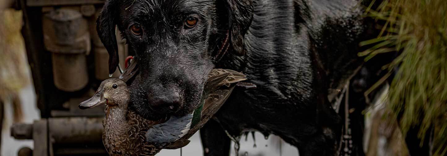 Hunt. Explore. Endure. 
OUTFITTING SERIOUS SPORTSMEN Since 1967