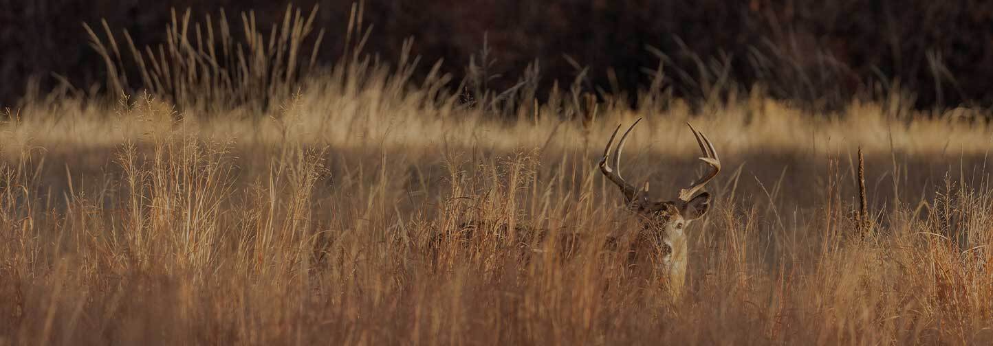 Load Up for this hunting season