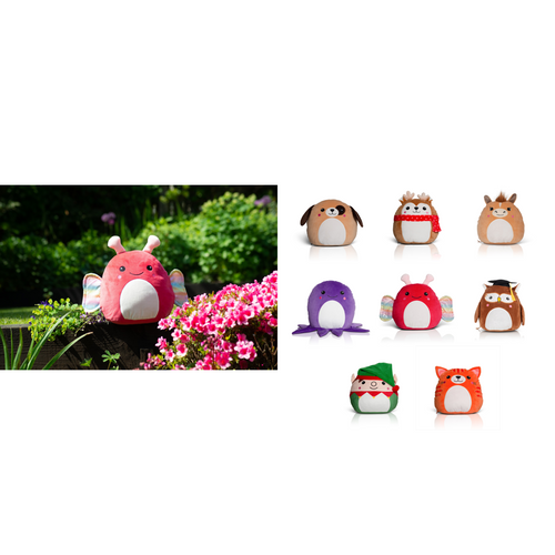 Squidgy’s by Mumbles