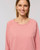 Stanley/Stella Women's Stella Dazzler relaxed fit sweatshirt (STSW125)