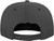 Flexfit by Yupoong 110 fitted snapback (110)