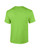 Product image: GD002_Lime_BACK.jpg