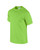 Product image: GD002_Lime_SIDE.jpg