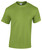 Product image: Kiwi.jpg