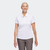 Product image: AD003_LS66_2024.jpg