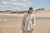 Product image: B438N_LS02_2026.jpg