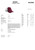 Product image: SizeGuide.jpg