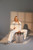 Product image: BG738_LS01_2026.jpg