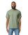 Gildan Softstyle™ midweight adult no-label enzyme wash t-shirt