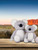 Mumbles Zippie koala bear