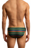 Jack Adams World Pride Low-Rise 1"Swimsuit (back view) - premium,  fashionable and fun swimsuits, swim briefs, swim trunks and swim bikinis