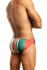 Man wearing a pair green Calabria Stripe Low-Rise Swimsuit (back view)  on a white background.