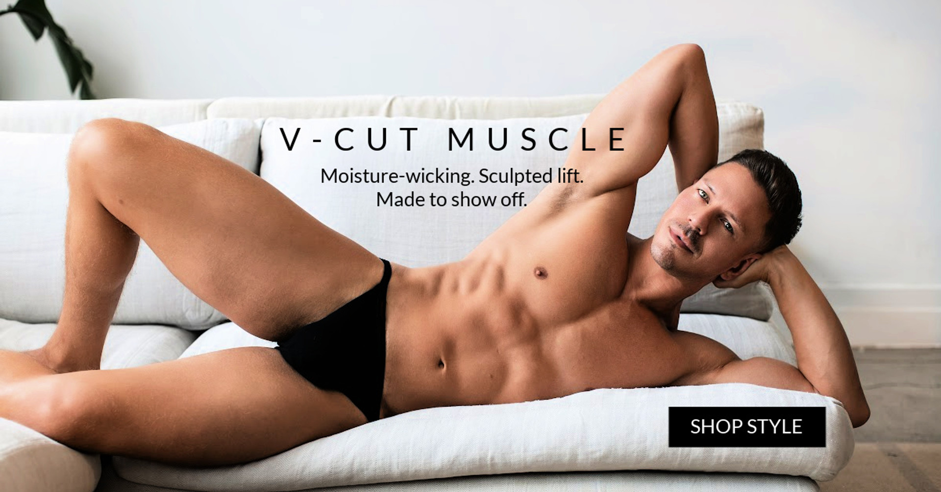 Introducing the V Cut Brief